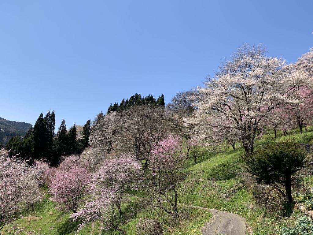 小川村誌 昭和50年発行 長野県上水内群小川村