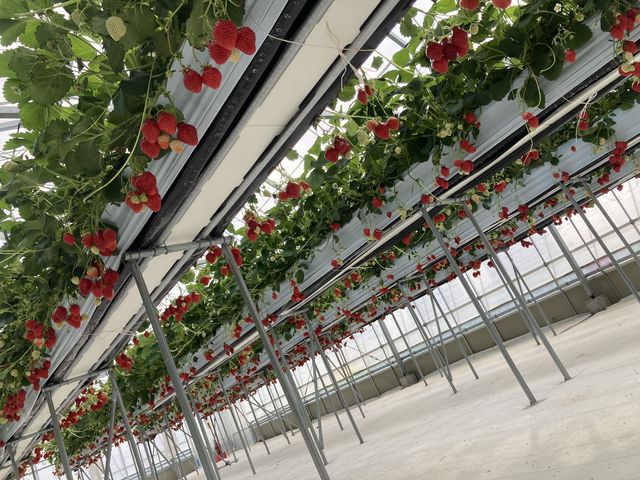 �^���ԂȂ�����������_�i�`��������