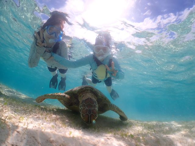 �Y��ȊC�Ɗԋ߂ɂ���E�~�K���Ɋ���T_T_�V���m�[�P���c�A�[�@��`��