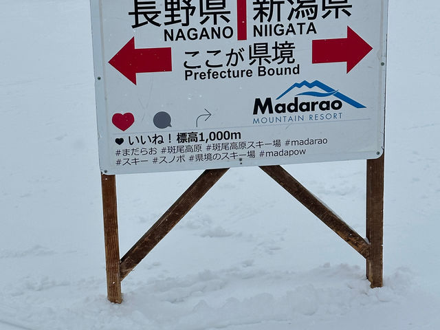 �����Ŕ�_���������X�L�[��