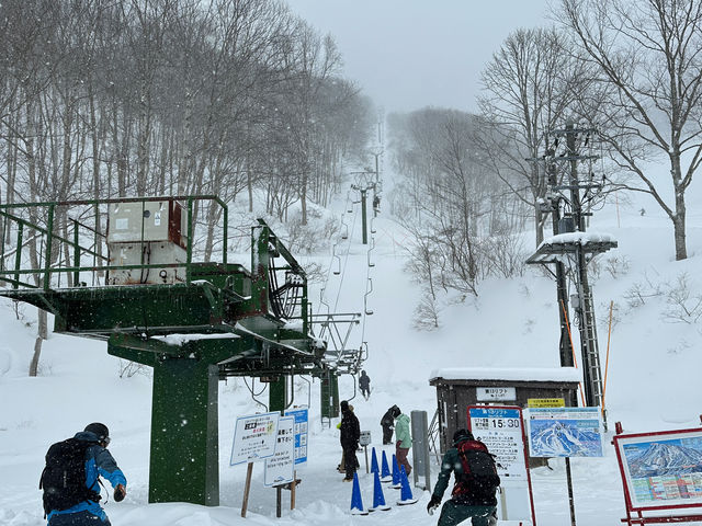 �R�����t�g����_���������X�L�[��