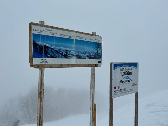 �i�F�����Ȃ������E�E�E�B_���������X�L�[��