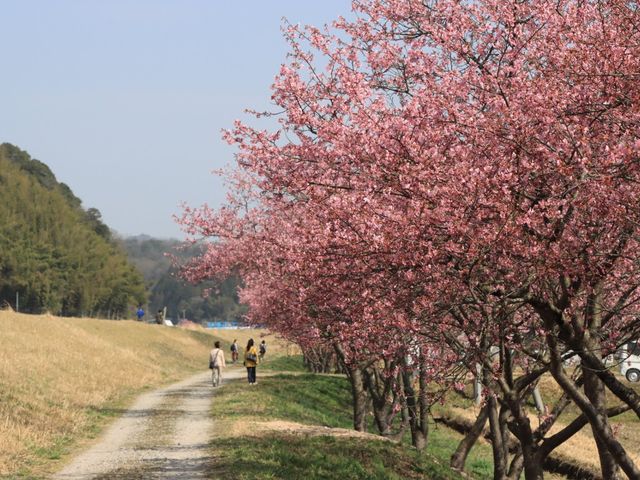 �������_��s�@�哌���t�B�n��Ԑ쉈���̉͒Í�_�哌���t�B�n��Ԑ쉈���̉͒Í�