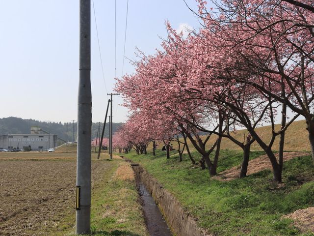 ̑哌tBnԐ쉈̉͒Í̓eʐ^3