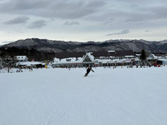 }C}C̃n^[}Eeւ̓eʐ^5