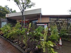 PES����̓��q�t���b�V���p�[�N�����ւ̓��e�ʐ^1