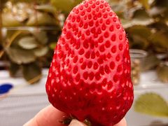 Ё[͉̂ʎ̑܂ǂւ̓eʐ^1