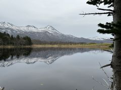 񂳂̊Вmc[Xgւ̓eʐ^1