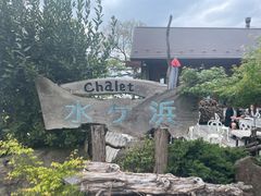 �`��������̃V���[�� ���P�l�ւ̓��e�ʐ^1