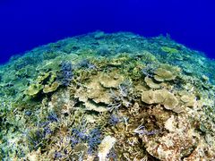 ҂񂳂̃ANAx[Xւ̓eʐ^1