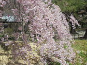 񂳂̏隬É̏dg}̓eʐ^10