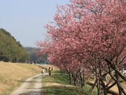 ̑哌tBnԐ쉈̉͒Í̓eʐ^2