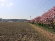 ̑哌tBnԐ쉈̉͒Í̓eʐ^4