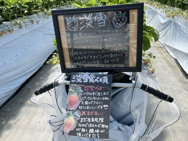 �W��_�ݐ�_��