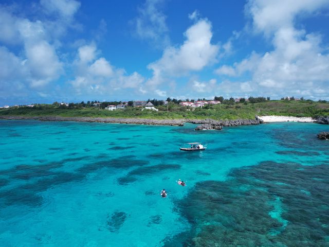 �h���[���łȂ��ƎB��Ȃ��{�Ó��̖��͂��ʐ^�ɎB���Ă��������܂����B
_Like Daddy