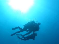 ݂̏SҐXNEOMARINEΊ_ւ̓eʐ^1