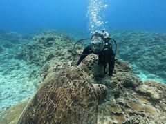 񂽂񂽂̃LOtBbV[ւ̓eʐ^1