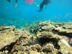 kz̃}T[rXނʁ[ւ̓eʐ^1