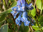 Ձ[̓t߈і쐶A̓eʐ^3