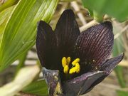 Ձ[̓t߈і쐶A̓eʐ^4