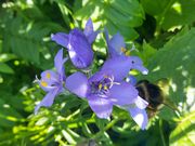 Ձ[̓t߈і쐶A̓eʐ^5