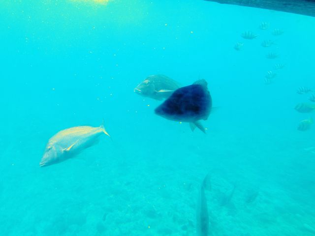 �����̑D�̒����猩���C�ł��B_�E�G�X�g�}����