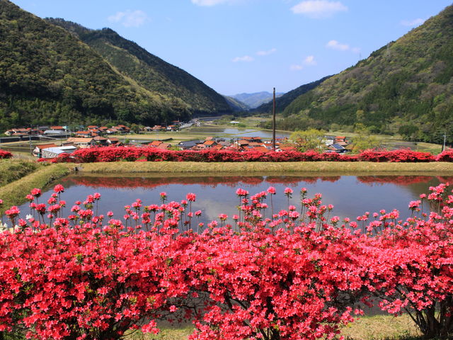 �c��ڂ̍��䂩��k�̕�������_�[�k���̗�