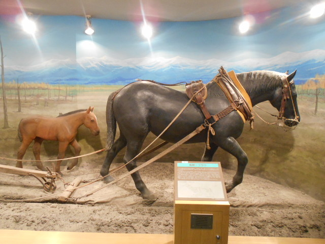 �n�̎�����