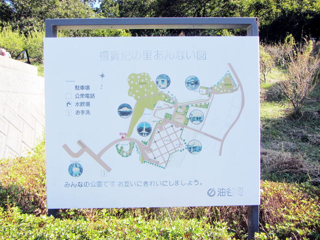 �k�M�܂̗��̈ē��}_�k�M�܂̗�