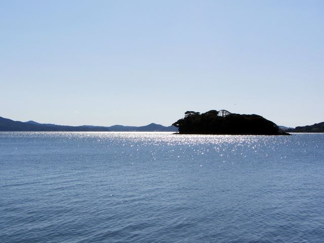 �k�M�ܑ������߂Ă��镗�i_�k�M�܂̗�