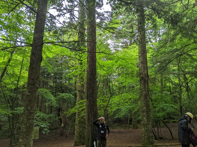 �؃������C_�y�m�G�R�c�A�[�E�T�[�r�X