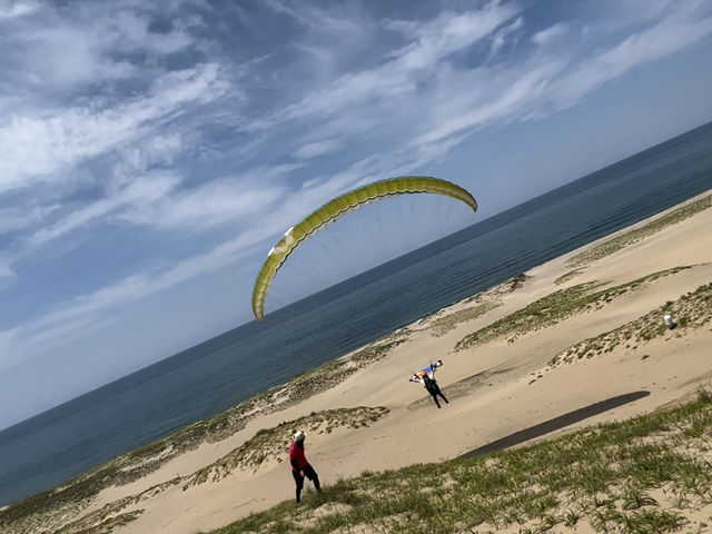 C֔їI_捻upOC_[XN[iu{܁j