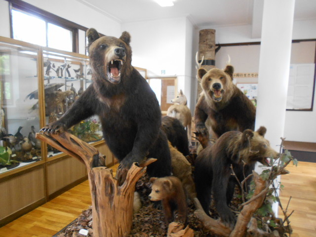 �ԑ��s�����y������