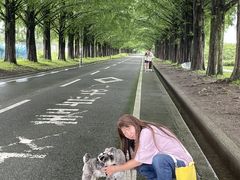 ɂ̃^ZRCA؂ւ̓eʐ^1