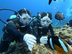 [̃}Nu Gigiւ̓eʐ^1