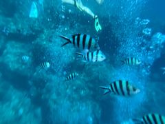 [̃}Nu Gigiւ̓eʐ^1