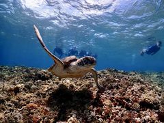 ΂񂳂̃}T[rX@pb\ւ̓eʐ^1