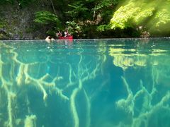 JUÑBgJ̓]ւ̓eʐ^1