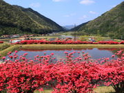 CCꃉC_[̘[k̗̓eʐ^3