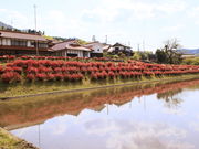 CCꃉC_[̘[k̗̓eʐ^4