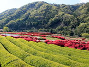 CCꃉC_[̘[k̗̓eʐ^5