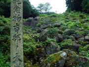 CCꃉC_[̋g̑⋽̓eʐ^2