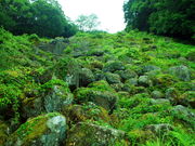 CCꃉC_[̋g̑⋽̓eʐ^3