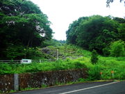 CCꃉC_[̋g̑⋽̓eʐ^4