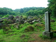 CCꃉC_[̓VRLO q̑⋽̓eʐ^3