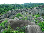 CCꃉC_[̓VRLO q̑⋽̓eʐ^5