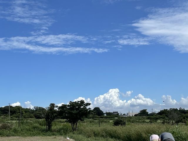 �L����_�����q����̂₳����