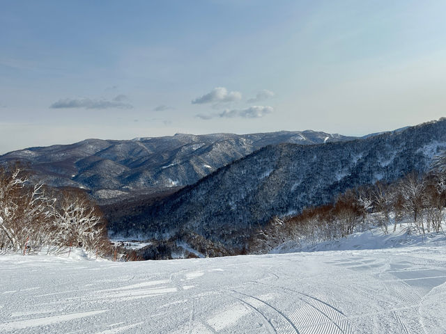 �Q�����f_�D�y���ۃX�L�[��