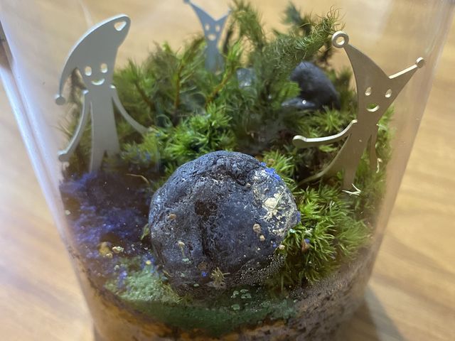 �d��������_���^���t�H���X�g