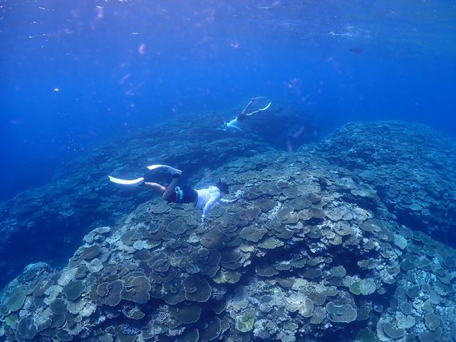 �ɗǕ����X�L���_�C�r���O_Onebreath Irabu